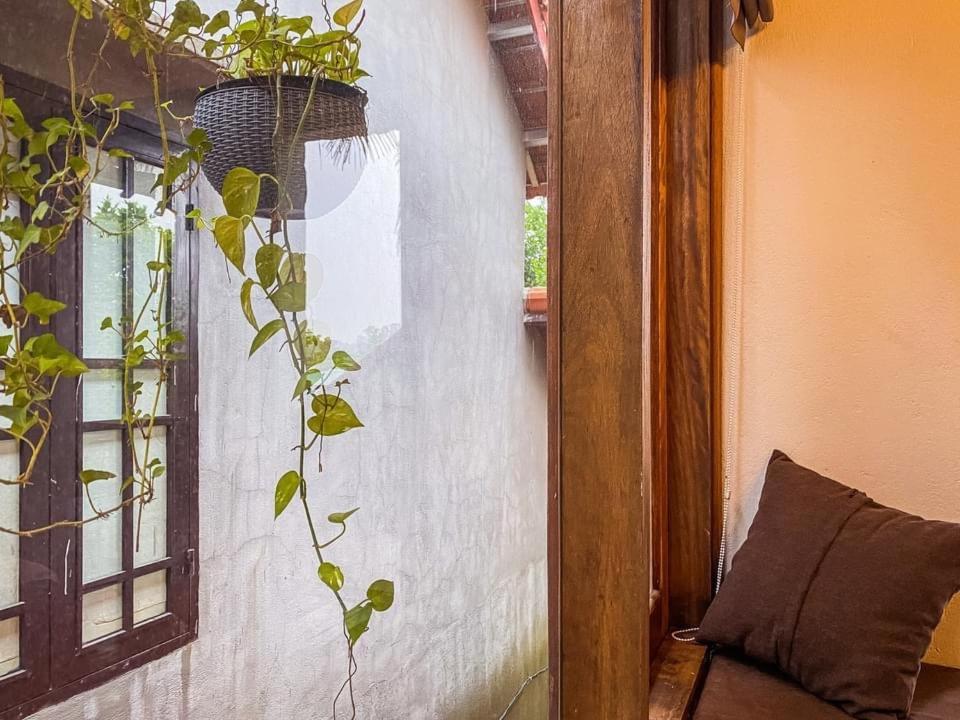 Cat Homestay Hue Exterior photo